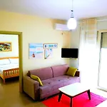 Turtle Durrës
